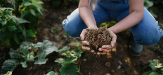 Het belang van een rijk bodemleven